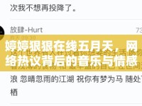 婷婷狠狠在線五月天，網(wǎng)絡(luò)熱議背后的音樂與情感