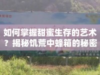 如何掌握甜蜜生存的藝術(shù)？揭秘饑荒中蜂箱的秘密！