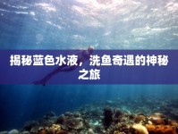揭秘藍(lán)色水液，洗魚(yú)奇遇的神秘之旅