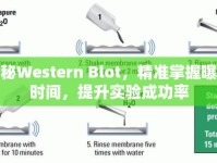 揭秘Western Blot，精準掌握曝光時間，提升實驗成功率