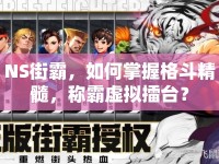 NS街霸，如何掌握格斗精髓，稱霸虛擬擂臺(tái)？