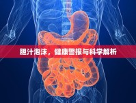 膽汁泡沫，健康警報與科學(xué)解析