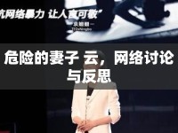 危險的妻子 云，網(wǎng)絡(luò)討論與反思