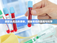 剝蝦頭流出的液體，揭秘背后的真相與科學