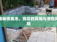 揭秘?fù)启~池，背后的真相與潛在風(fēng)險(xiǎn)