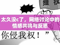 太久沒c了，網(wǎng)絡(luò)討論中的情感共鳴與反思