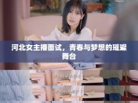 河北女主播面試，青春與夢想的璀璨舞臺