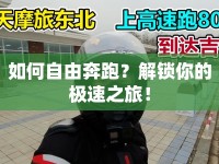 如何自由奔跑？解鎖你的極速之旅！