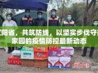遼陽省，共筑防線，以堅實步伐守護家園的疫情防控最新動態(tài)