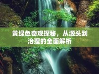 黃綠色奇觀探秘，從源頭到治理的全面解析