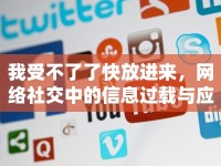 我受不了了快放進(jìn)來，網(wǎng)絡(luò)社交中的信息過載與應(yīng)對(duì)策略