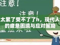 太累了受不了了h，現(xiàn)代人的疲憊困境與應(yīng)對(duì)策略