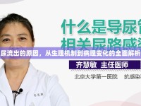 尿流出的原因，從生理機(jī)制到病理變化的全面解析