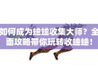 如何成為蛐蛐收集大師？全面攻略帶你玩轉(zhuǎn)收蛐蛐！
