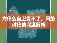 為什么自衛(wèi)受不了，網(wǎng)絡(luò)討論的深度解析