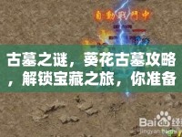 古墓之謎，葵花古墓攻略，解鎖寶藏之旅，你準備好了嗎？