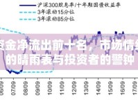 資金凈流出前十名，市場(chǎng)情緒的晴雨表與投資者的警鐘