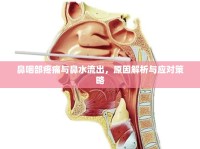 鼻咽部疼痛與鼻水流出，原因解析與應對策略