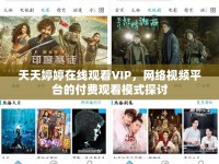 天天婷婷在線觀看VIP，網(wǎng)絡(luò)視頻平臺(tái)的付費(fèi)觀看模式探討