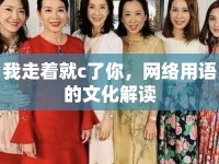 我走著就c了你，網(wǎng)絡(luò)用語的文化解讀