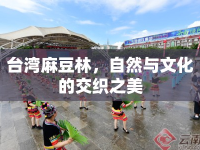 臺(tái)灣麻豆林，自然與文化的交織之美