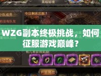 WZG副本終極挑戰(zhàn)，如何征服游戲巔峰？