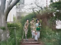 食人魚事件，網絡熱議與生態(tài)警示