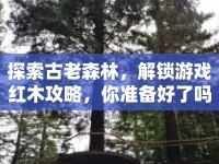 探索古老森林，解鎖游戲紅木攻略，你準(zhǔn)備好了嗎？