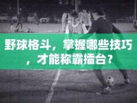 野球格斗，掌握哪些技巧，才能稱霸擂臺？