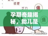 孕期奇趣揭秘，胎兒是否會(huì)流出鼻涕？