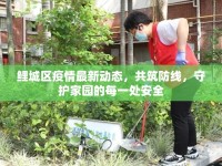 鯉城區(qū)疫情最新動態(tài)，共筑防線，守護家園的每一處安全