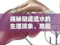 揭秘陰道流水的生理現(xiàn)象、原因及注意事項