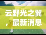 云野光之翼，最新消息揭秘與未來(lái)展望