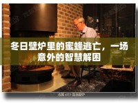 冬日壁爐里的蜜蜂逃亡，一場意外的智慧解困