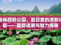 桂林荷韻公園，夏日里的清新詩篇——最新進展與魅力揭秘