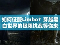 如何征服Limbo？穿越黑白世界的極限挑戰(zhàn)等你來挑戰(zhàn)！