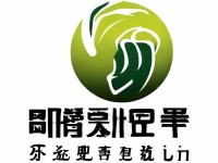 道王手游倒閉了，回憶與攻略的交織