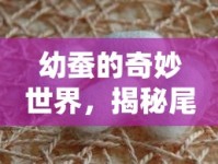 幼蠶的奇妙世界，揭秘尾巴后流出的粘液之謎