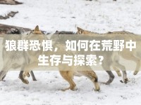 狼群恐懼，如何在荒野中生存與探索？