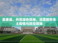 嘉善縣，共筑綠色防線，深度解析本土疫情與防控措施