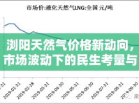 瀏陽天然氣價格新動向，市場波動下的民生考量與未來展望