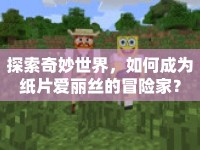 探索奇妙世界，如何成為紙片愛麗絲的冒險(xiǎn)家？