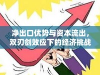 凈出口優(yōu)勢(shì)與資本流出，雙刃劍效應(yīng)下的經(jīng)濟(jì)挑戰(zhàn)與機(jī)遇