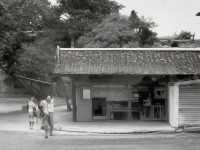 青云志手游，飾品轉(zhuǎn)移，如何打造個性化角色，提升戰(zhàn)力？