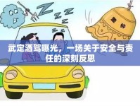 武定灑駕曝光，一場(chǎng)關(guān)于安全與責(zé)任的深刻反思