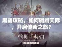 黑鷲攻略，如何翱翔天際，開啟傳奇之旅？