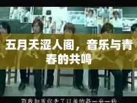 五月天澀人閣，音樂與青春的共鳴