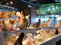 ZOOMSERVO獸狗為何成為寵物市場新寵？你了解它的獨(dú)特優(yōu)勢嗎？