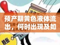 預(yù)產(chǎn)期黃色液體流出，何時(shí)出現(xiàn)及如何應(yīng)對(duì)的全面指南