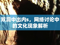 雙洞中出內(nèi)s，網(wǎng)絡(luò)討論中的文化現(xiàn)象解析